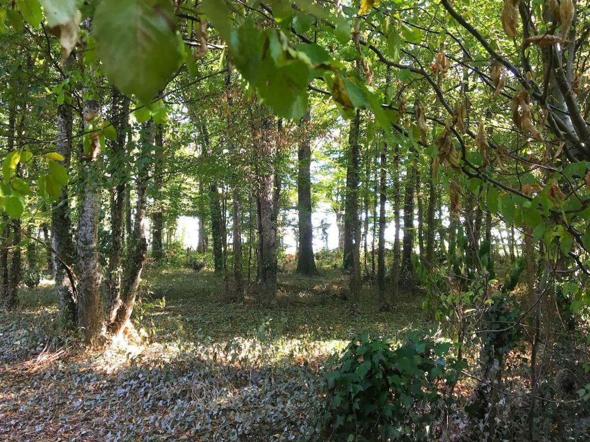 Villa Holy Wood à Chuelles Extérieur photo